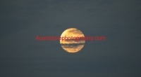 moon taken in sanibel